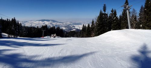 18. Februar 2013

