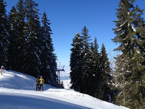 18. Februar 2013
