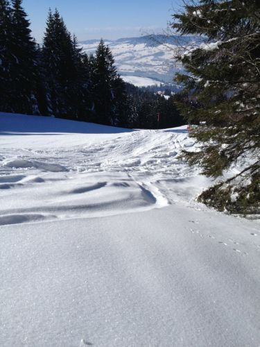 18. Februar 2013
