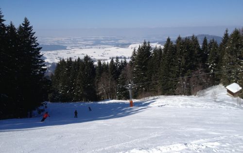 18. Februar 2013
