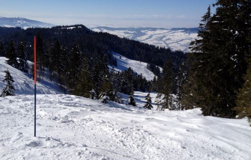 18. Februar 2013
