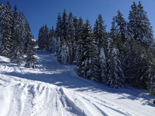 18. Februar 2013
