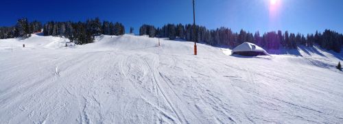 18. Februar 2013
