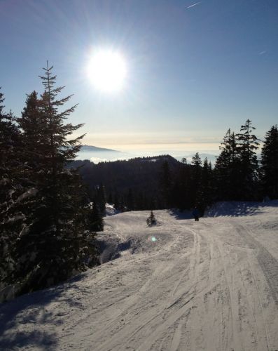 18. Februar 2013
