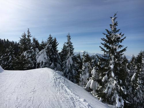 15. März 2016
