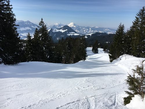 15. März 2016
