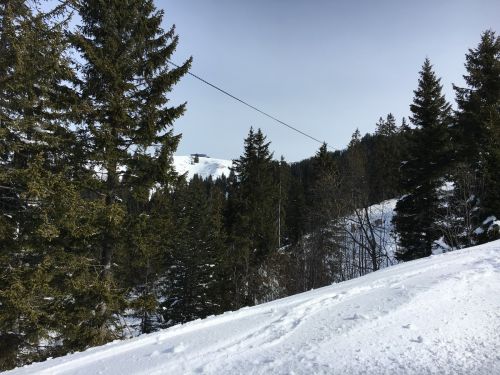 15. März 2016
