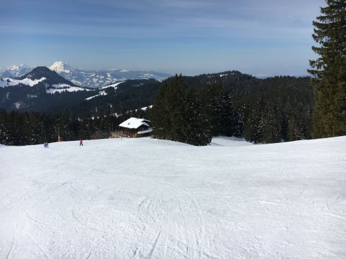 15. März 2016
