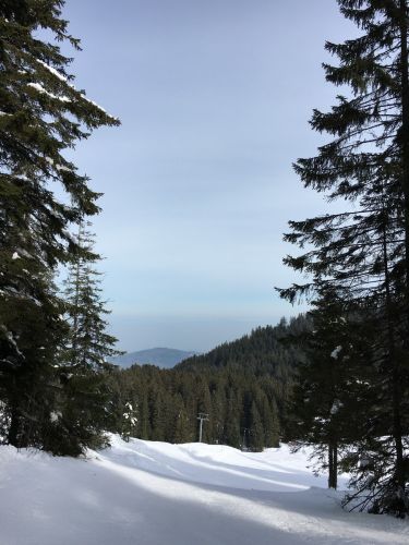 15. März 2016

