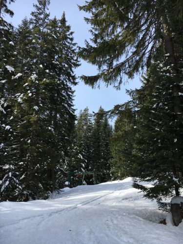 15. März 2016
