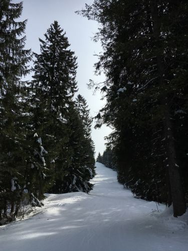 15. März 2016
