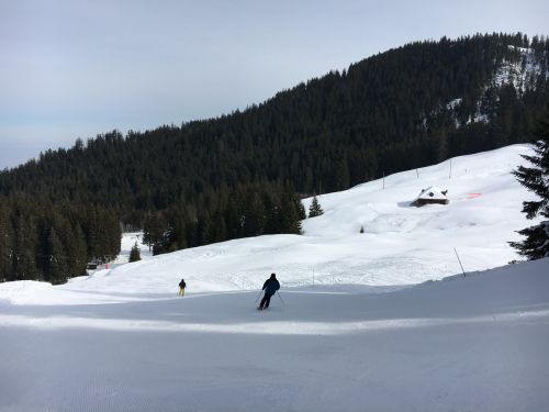 15. März 2016
