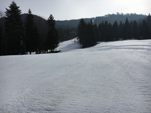 15. März 2016
