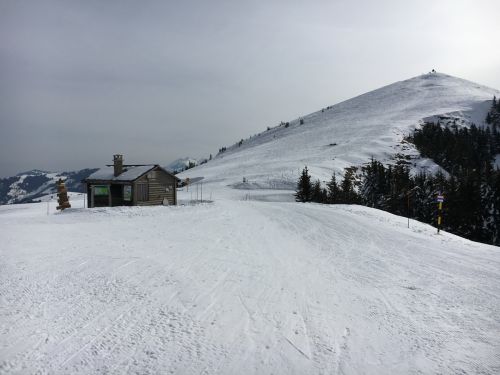 15. März 2016
