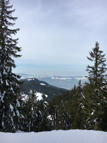 15. März 2016
