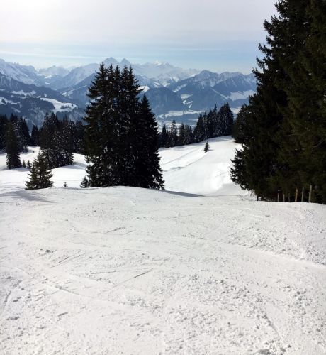 15. März 2016
