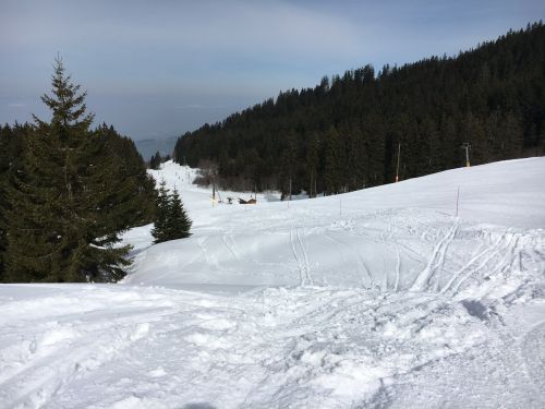 15. März 2016
