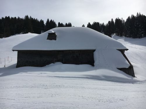 15. März 2016
