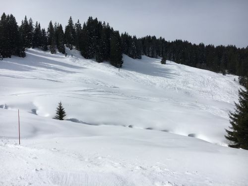 15. März 2016
