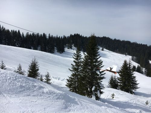 15. März 2016
