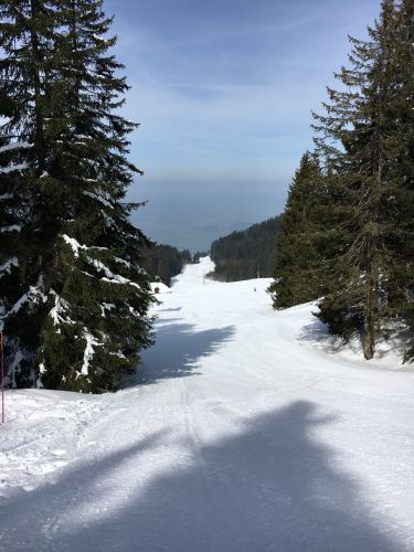 15. März 2016
