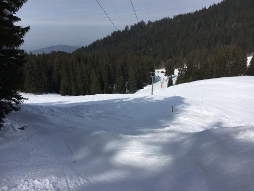 15. März 2016
