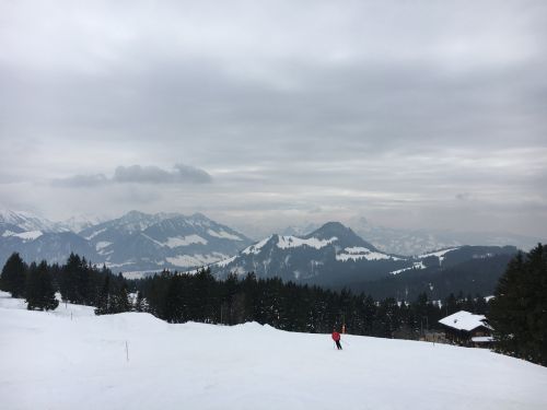 15. März 2016
