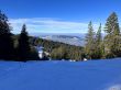 20230212-la-berra-5203.jpg