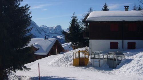 14. Januar 2009
