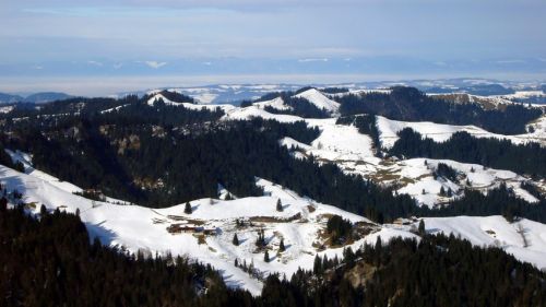 14. Januar 2009
