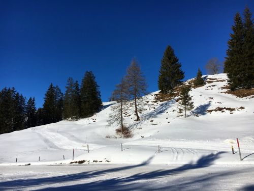 21. Januar 2017
