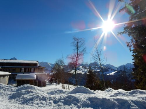 21. Januar 2017
