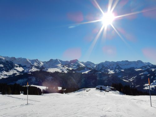 21. Januar 2017

