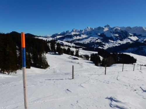 21. Januar 2017
