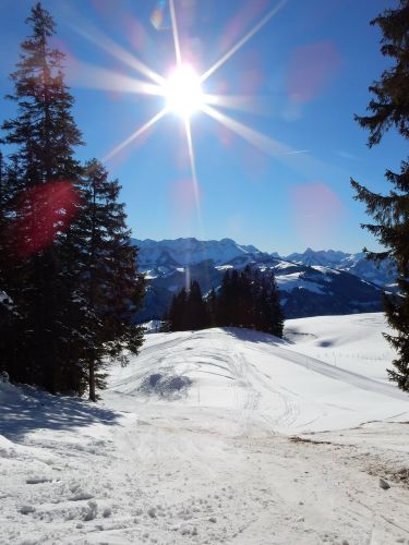 21. Januar 2017
