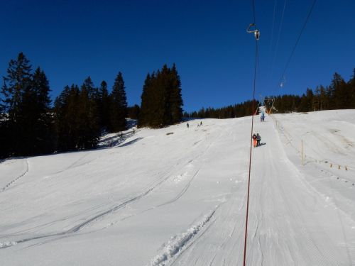 21. Januar 2017
