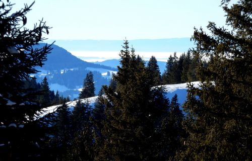 21. Januar 2017
