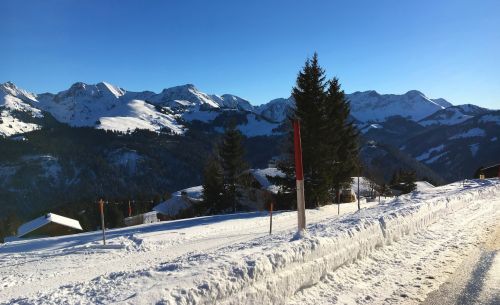 21. Januar 2017
