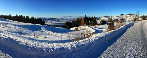 21. Januar 2017
