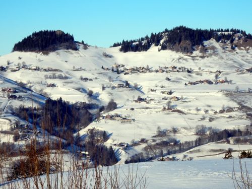 21. Januar 2017
