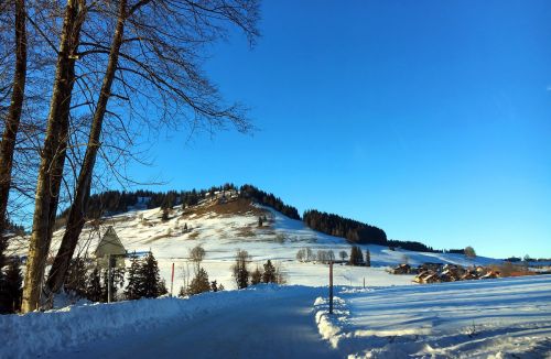 21. Januar 2017
