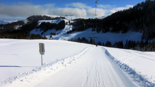 17. Februar 2012
