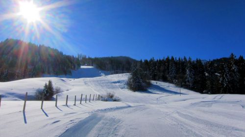 17. Februar 2012
