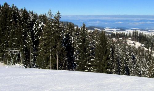 17. Februar 2012
