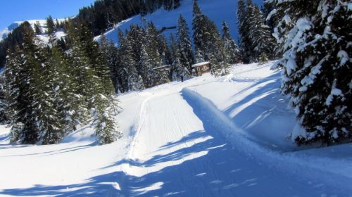 Pulverschnee pur!
