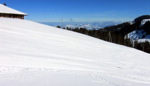 17. Februar 2012
