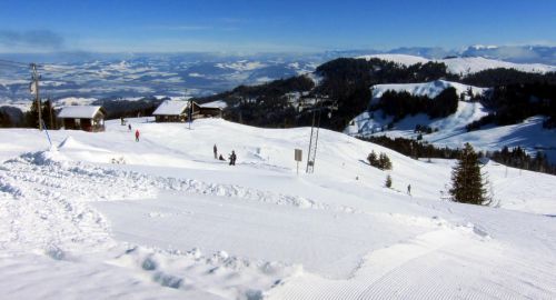 17. Februar 2012
