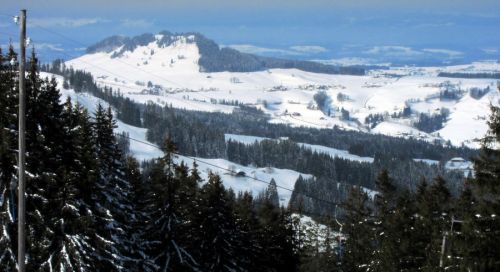 17. Februar 2012
