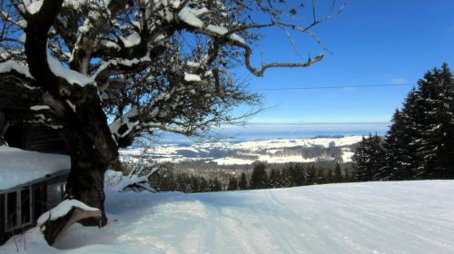 17. Februar 2012
