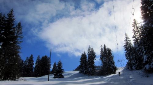 17. Februar 2012

